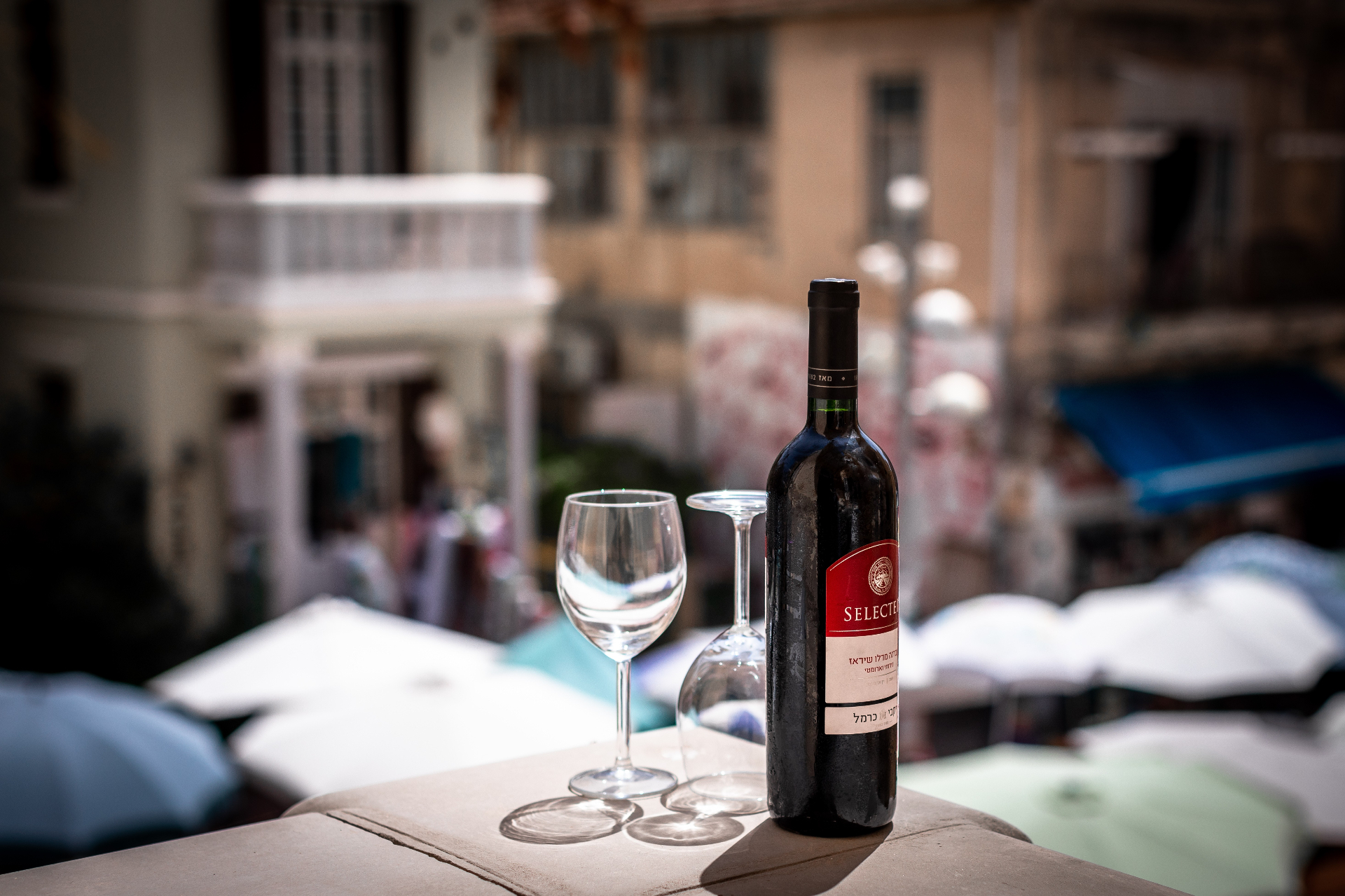 Elegant wine tasting experience at House of Palm residence